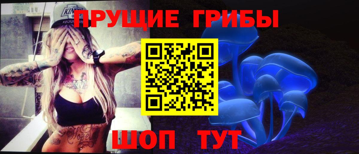 Ижевск  Псилоцибиновые грибы ЛСД  Вход с VPN 